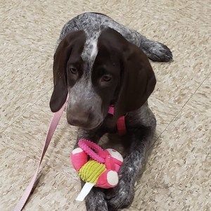 Meet your Posher, Jane